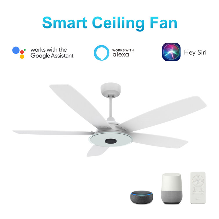 Ceiling fan that works top with google home